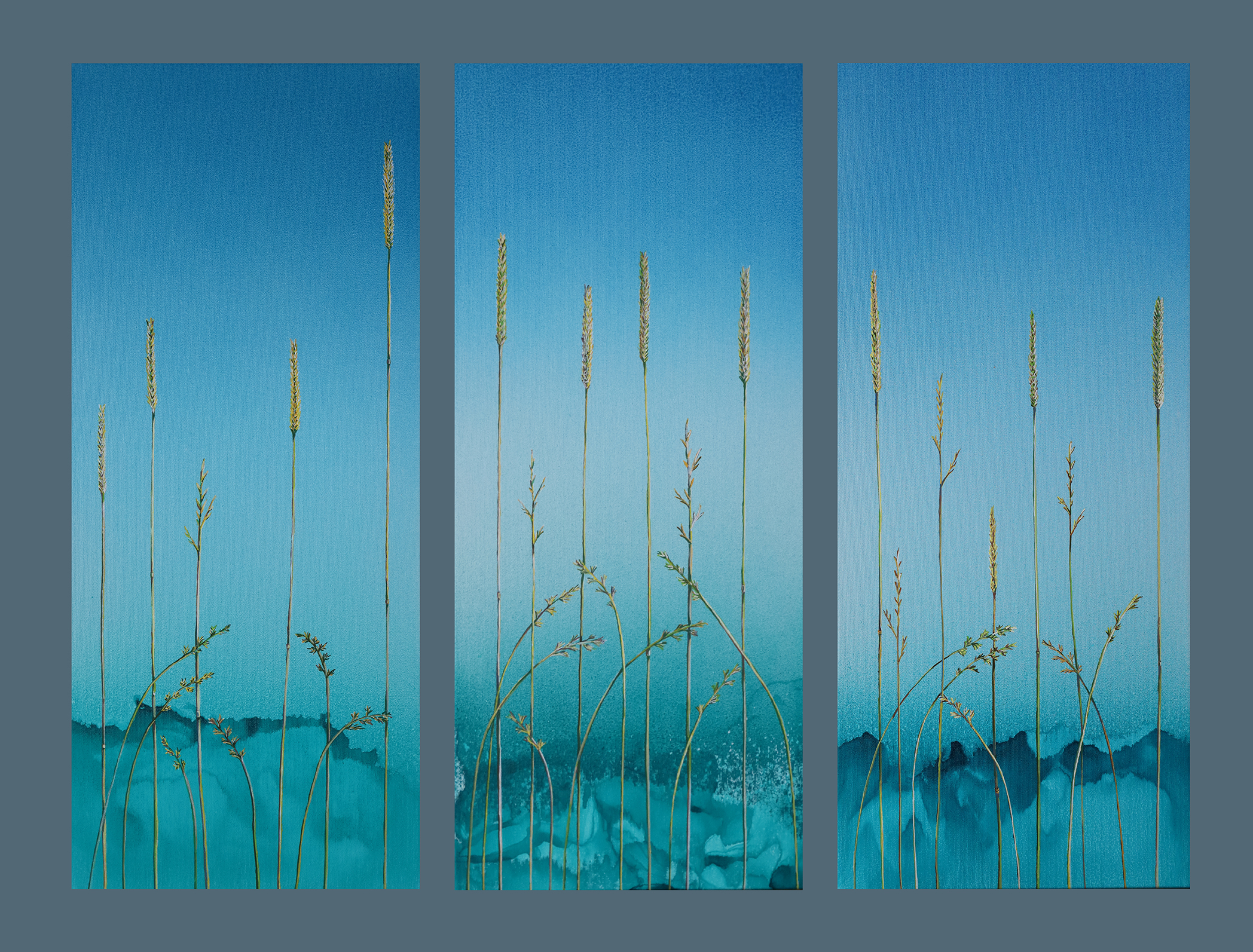 Trawy nadmorskie / tryptyk 2026 90 x 70 cm